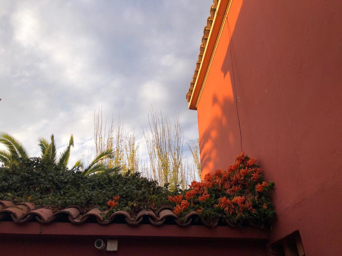 El Arbol Hostel ラ・セレナ エクステリア 写真